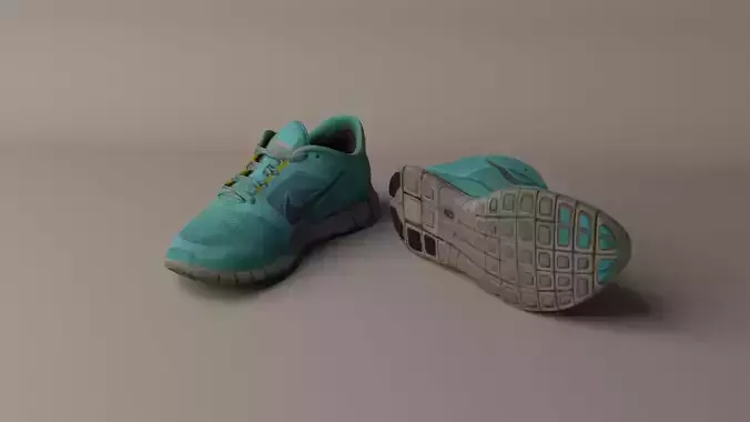 Worn Nike Free Run 3 sneaker shoe