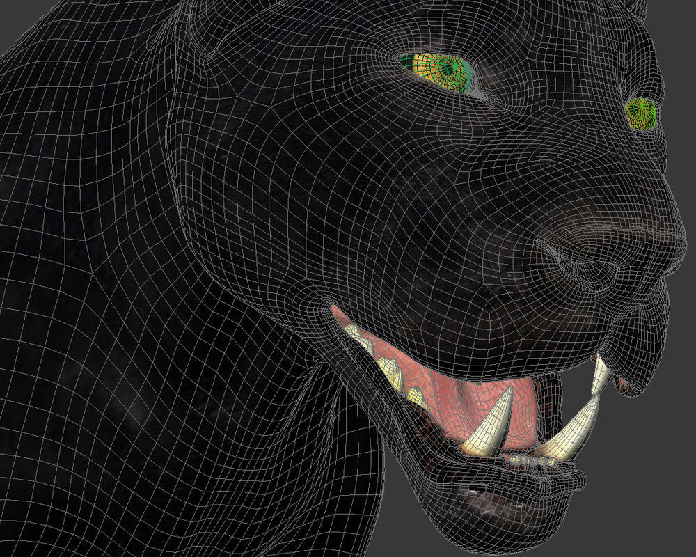 Panther-animations panther 3D model_9