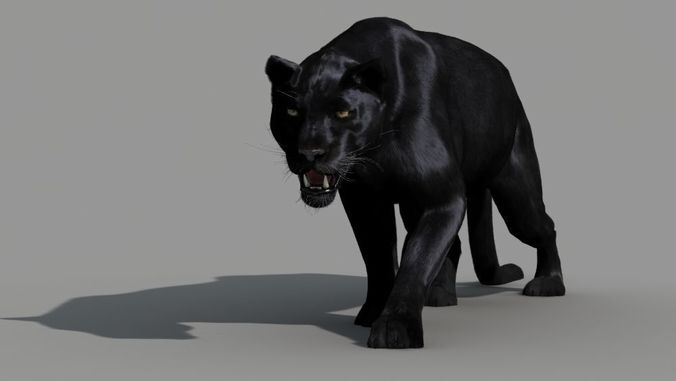 Panther-animations panther 3D model
