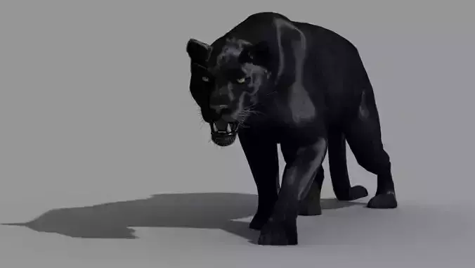 Panther-animations panther 3D model