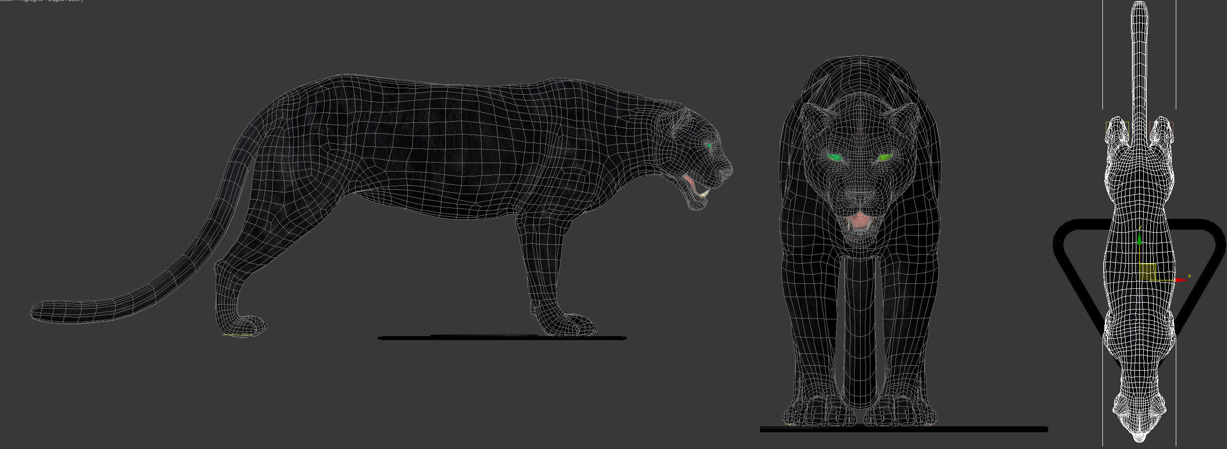 Panther-animations panther 3D model_8