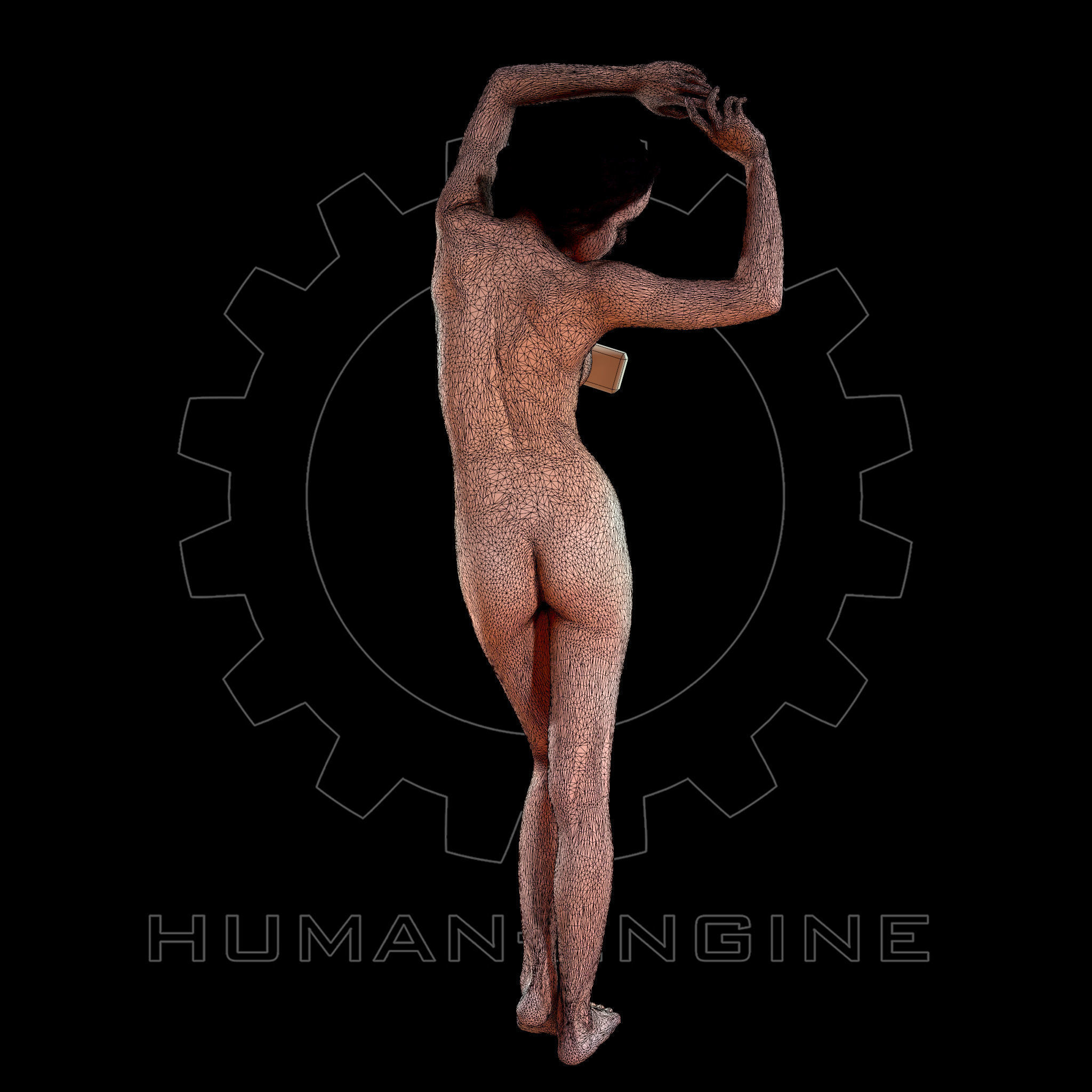 Female Scan - Art Pose AM001 3D model_4