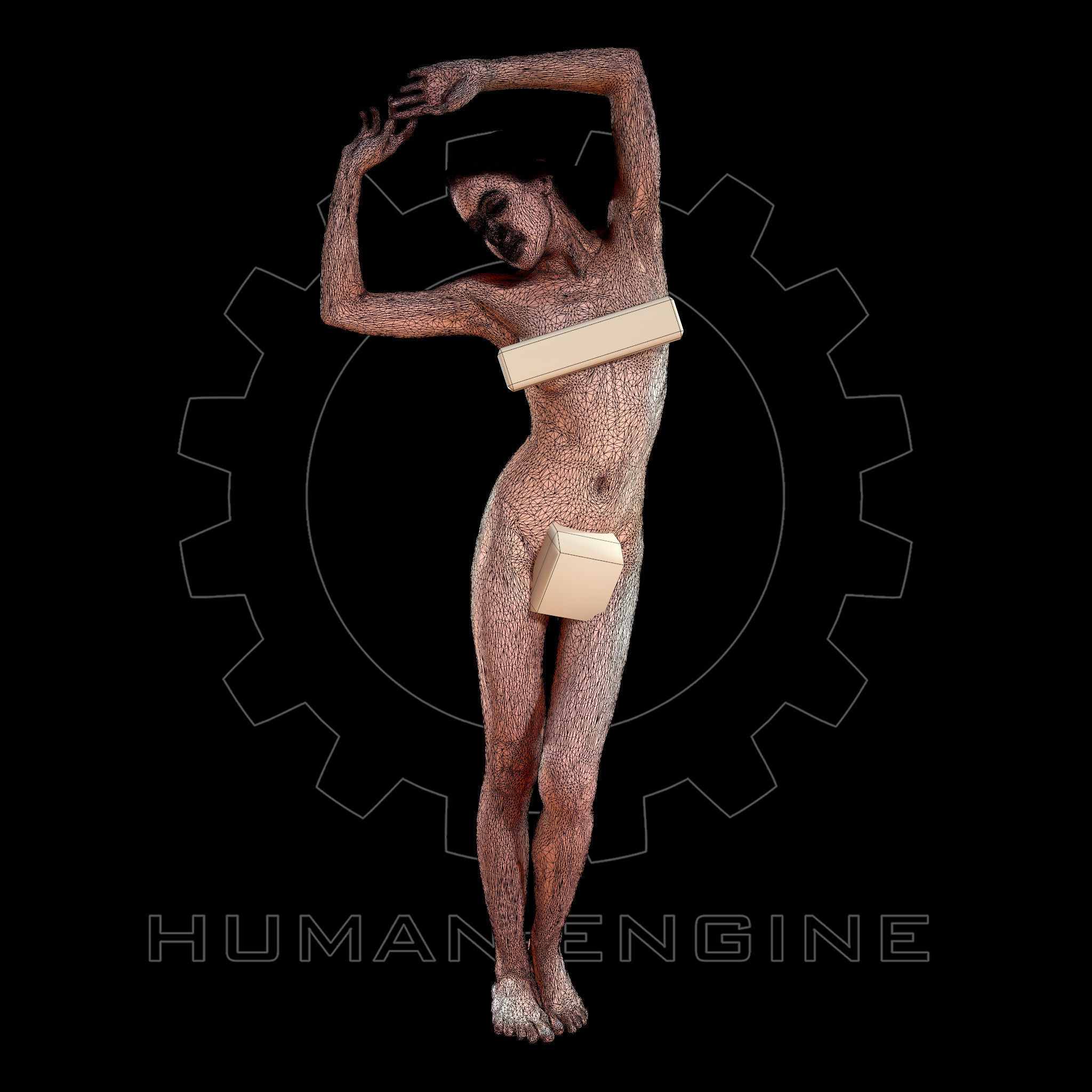 Female Scan - Art Pose AM001 3D model_2