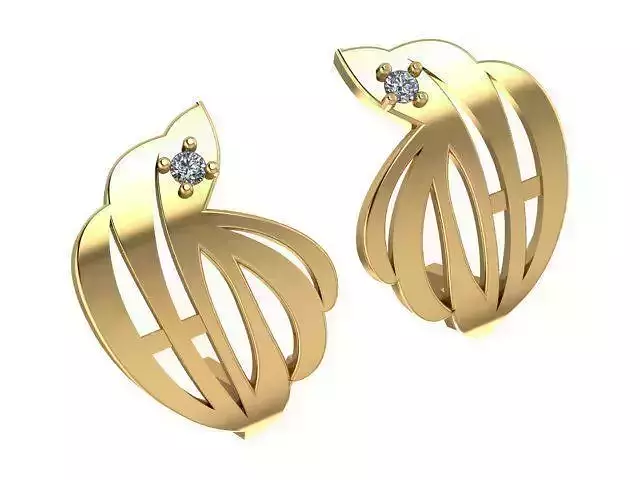 Earrings T01396
