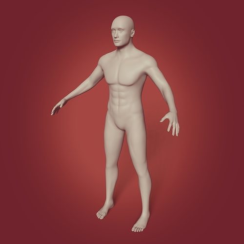 Man - Male Mannequin - Muscle Anatomy - Base Mesh Low-poly 3D model