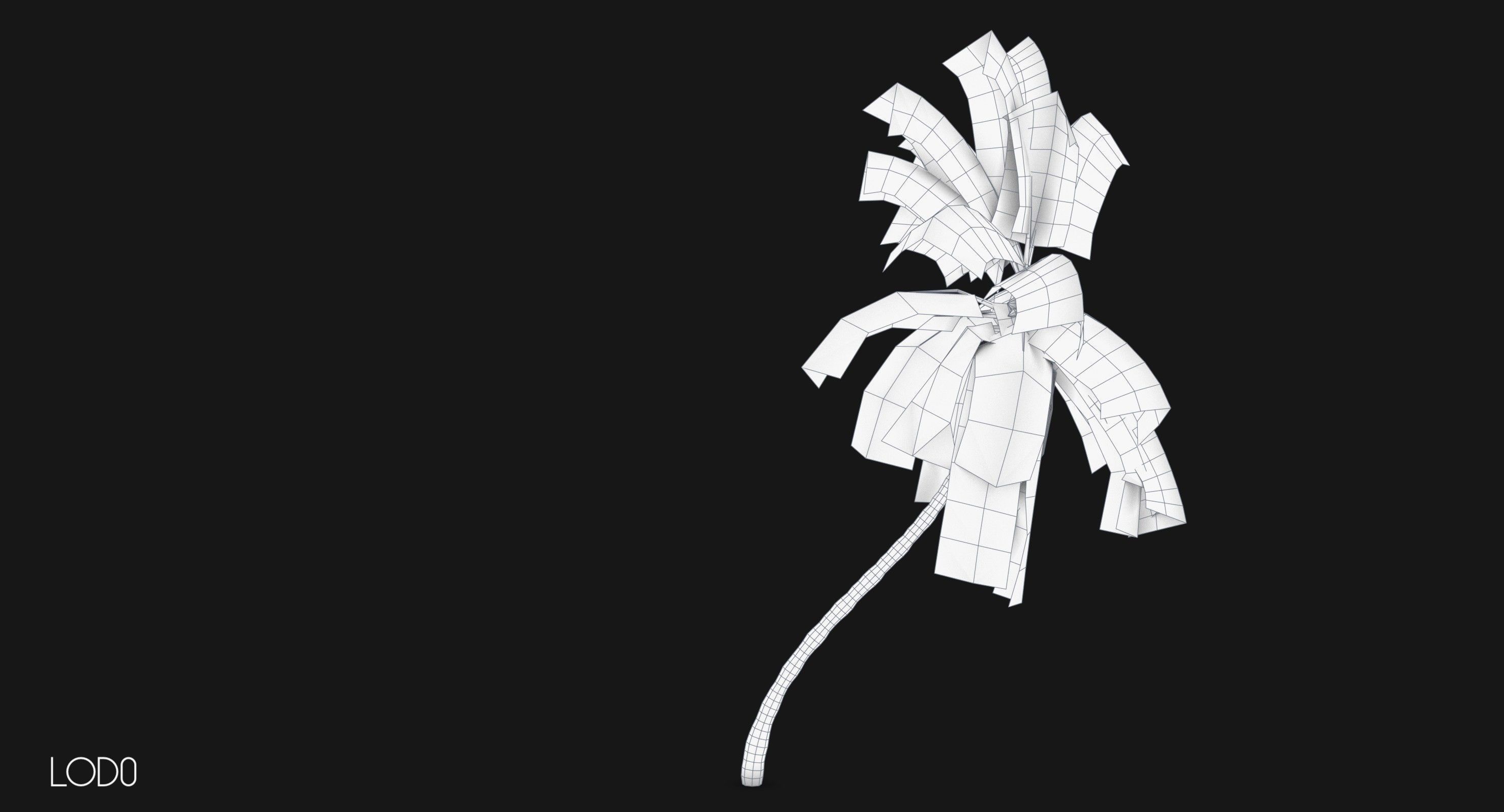 Coconut Palm Tree 1581 Low-poly 3D model_5