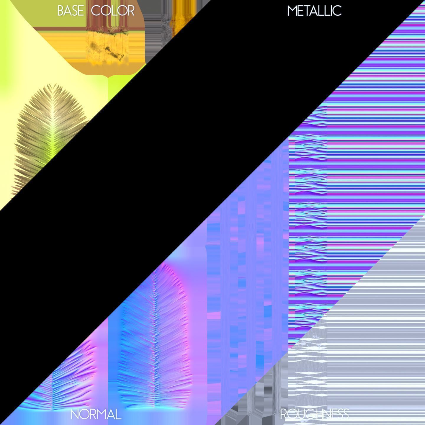 Coconut Palm Tree 1581 Low-poly 3D model_9