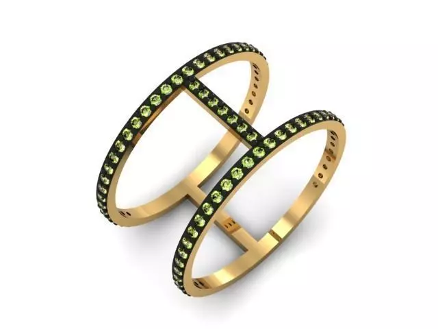 Ring dual set 3D print model