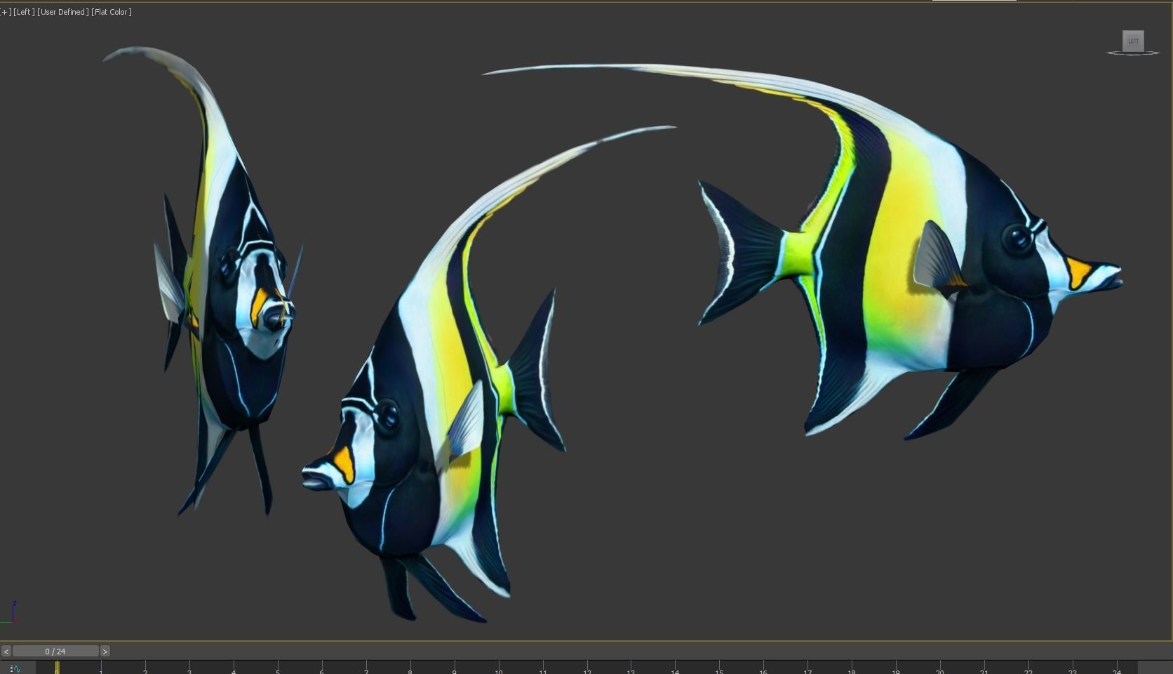 Fish Zanclus Cornutus Low-poly 3D model_6