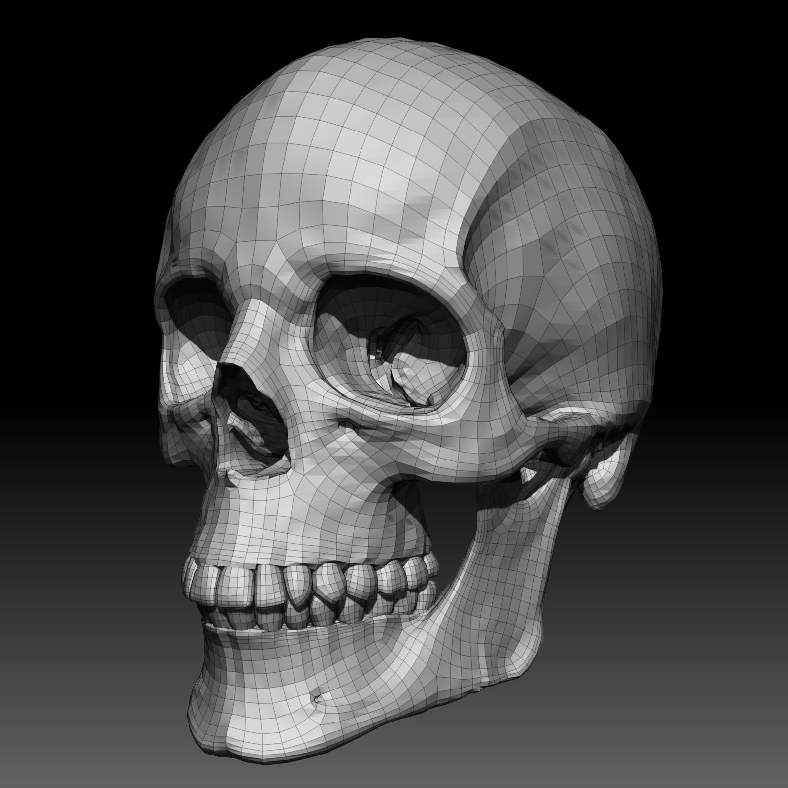Free Skull Teeth and Jaw 3D Base Mesh Free 3D model_3