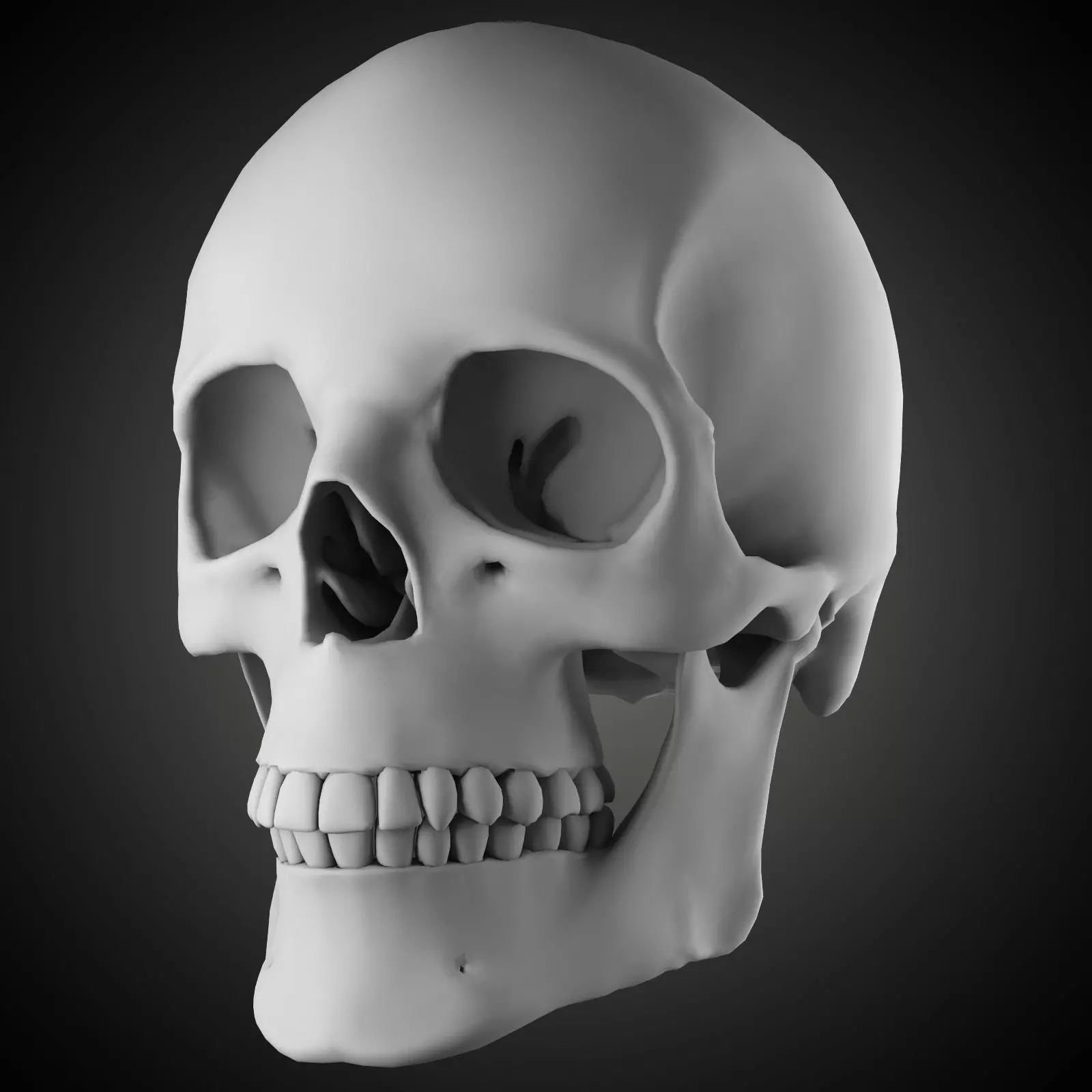 Free Skull Teeth and Jaw 3D Base Mesh Free 3D model_0