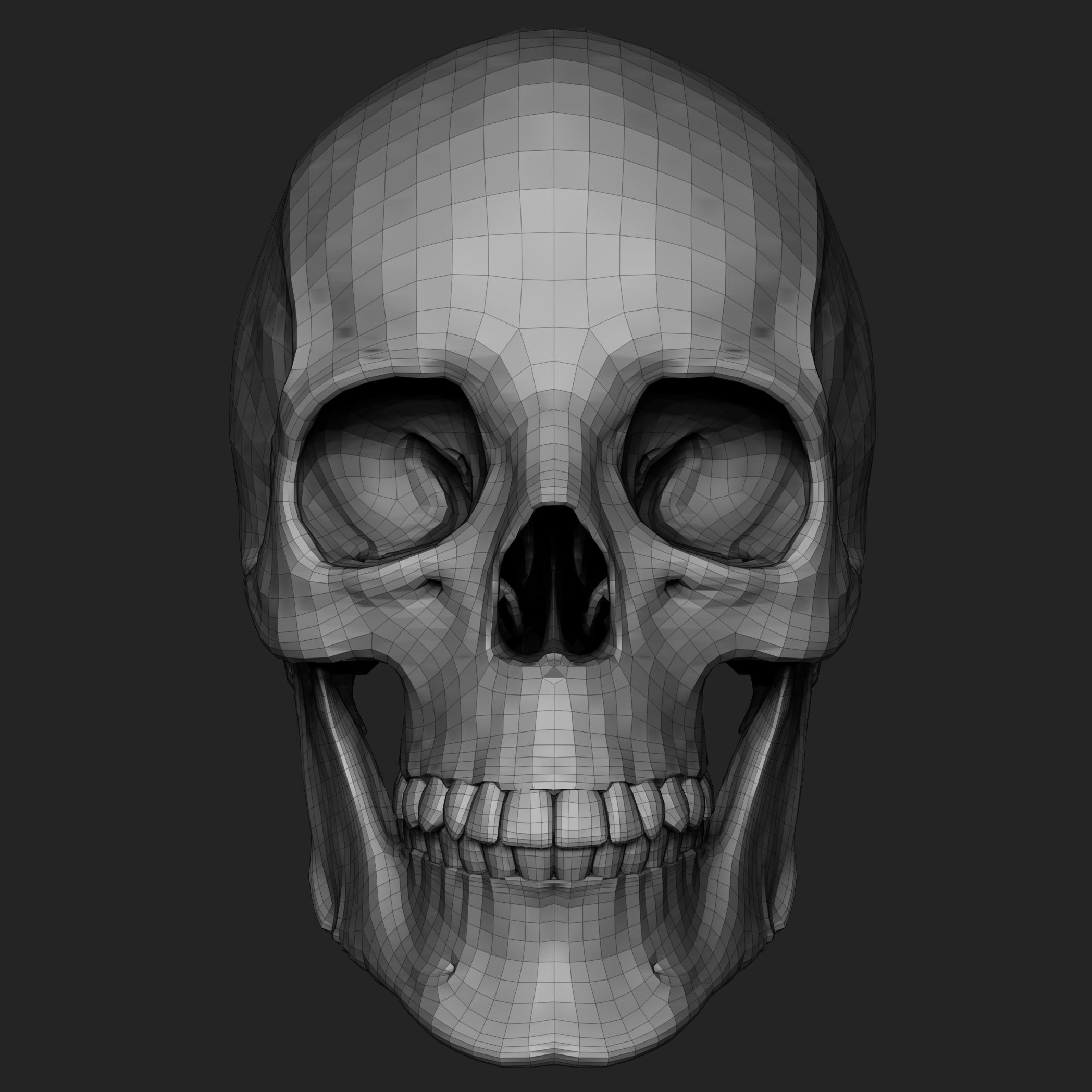 Free Skull Teeth and Jaw 3D Base Mesh Free 3D model_11