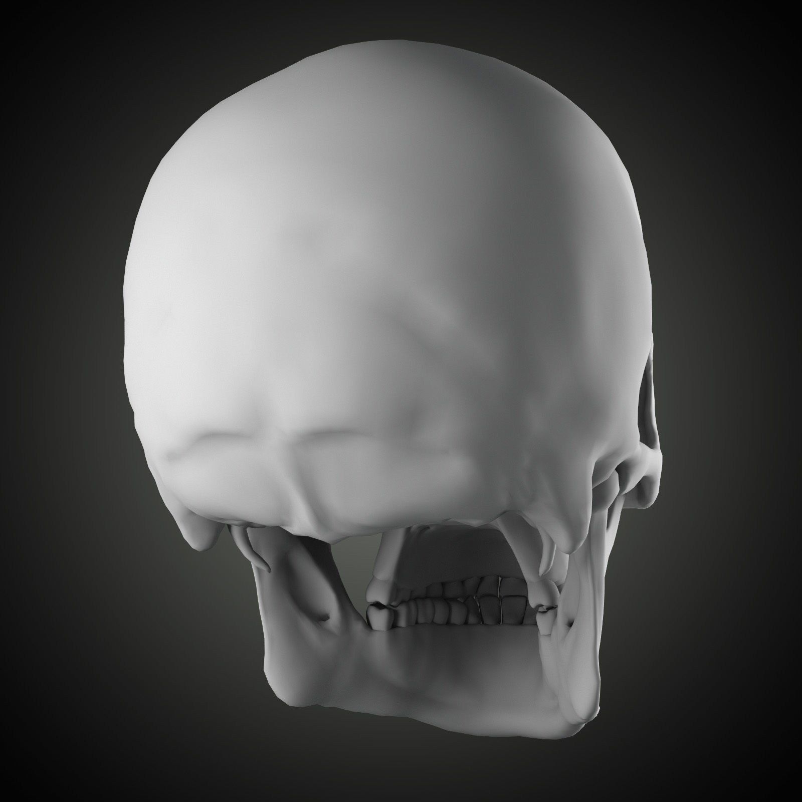 Free Skull Teeth and Jaw 3D Base Mesh Free 3D model_2