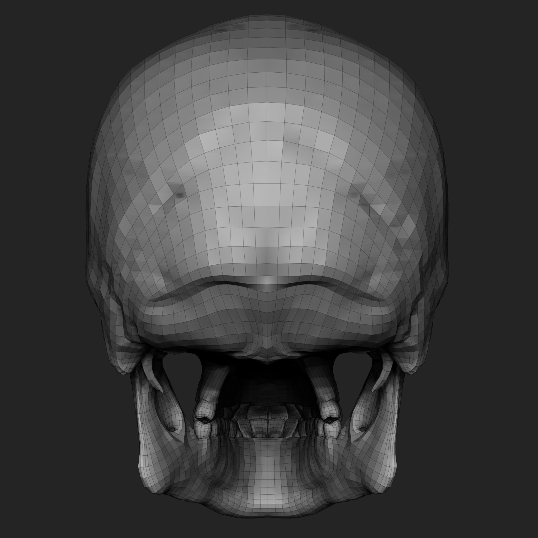 Free Skull Teeth and Jaw 3D Base Mesh Free 3D model_12