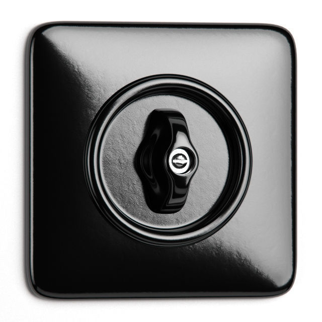 THPG Bakelite Switch System 3D model_6