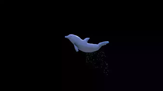 Dolphin Jumping 3D model