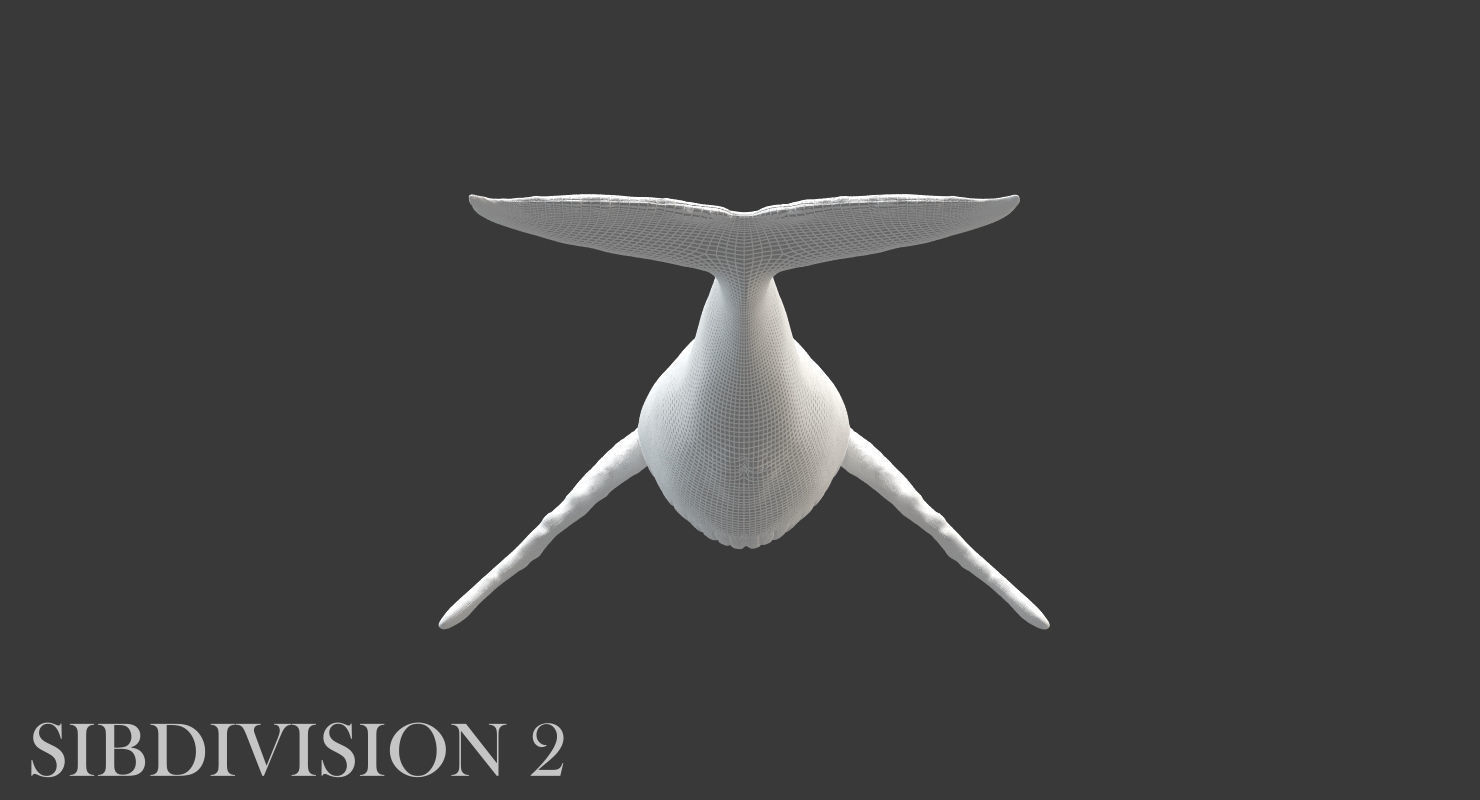 Humpback Whale Rigged Low-poly 3D model_17