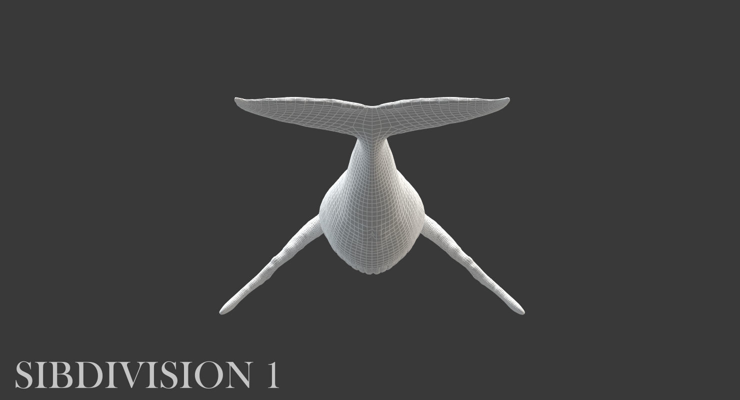 Humpback Whale Rigged Low-poly 3D model_13