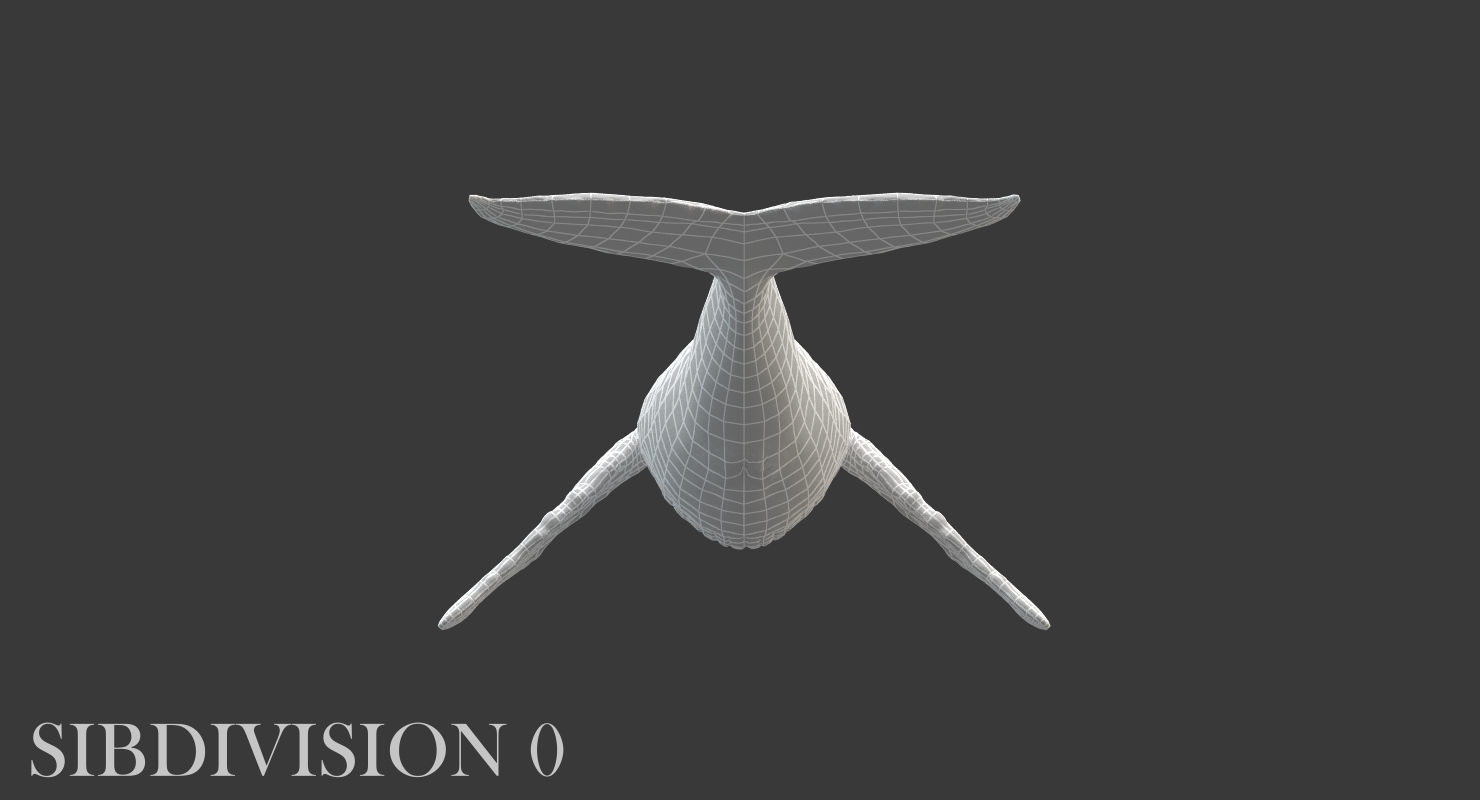 Humpback Whale Rigged Low-poly 3D model_9