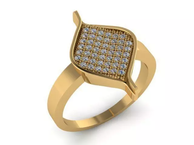 Ring T01409 3D print model_0