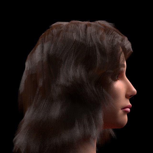 3D female head with texture 3D model_3