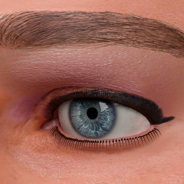 3D female head with texture 3D model_14