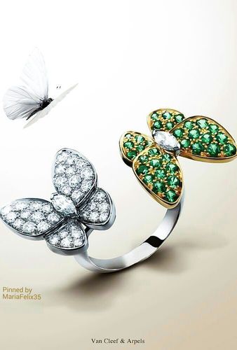 Butterfly 2 ring Stl 3D print model