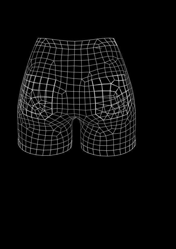 short  Low-poly 3D model_5