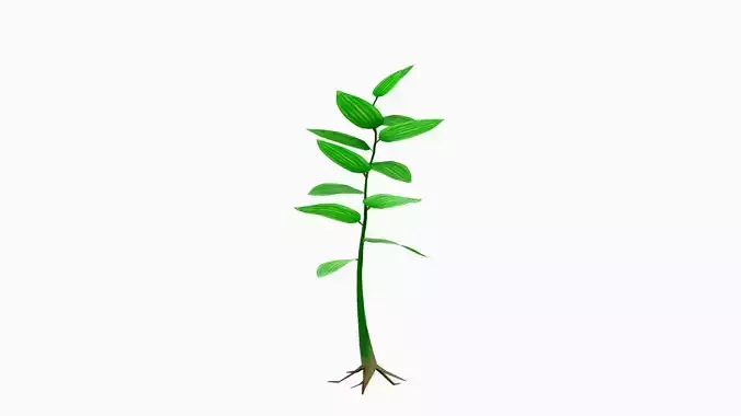 small plant Low-poly 3D model
