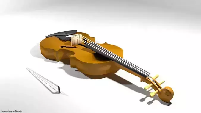 Violin