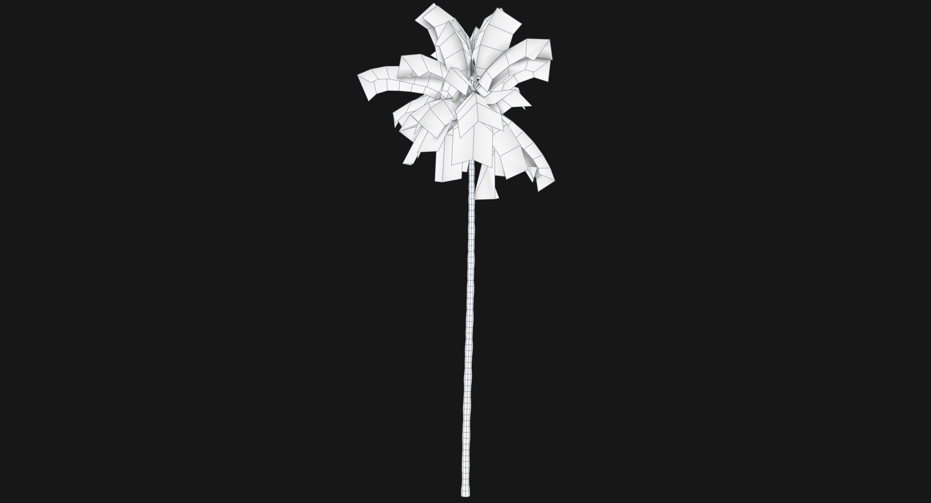Coconut Palm Tree 8768 Low-poly 3D model_7
