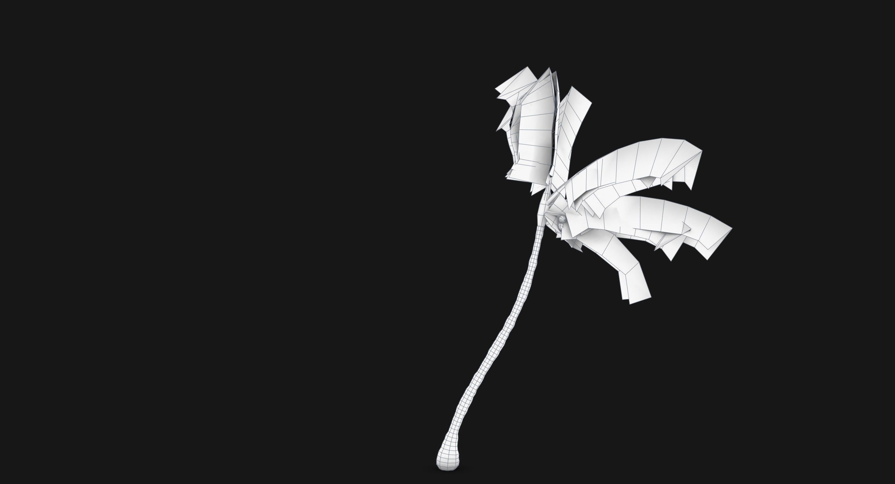 Coconut Palm Trees Asset 1 Low-poly 3D model_18