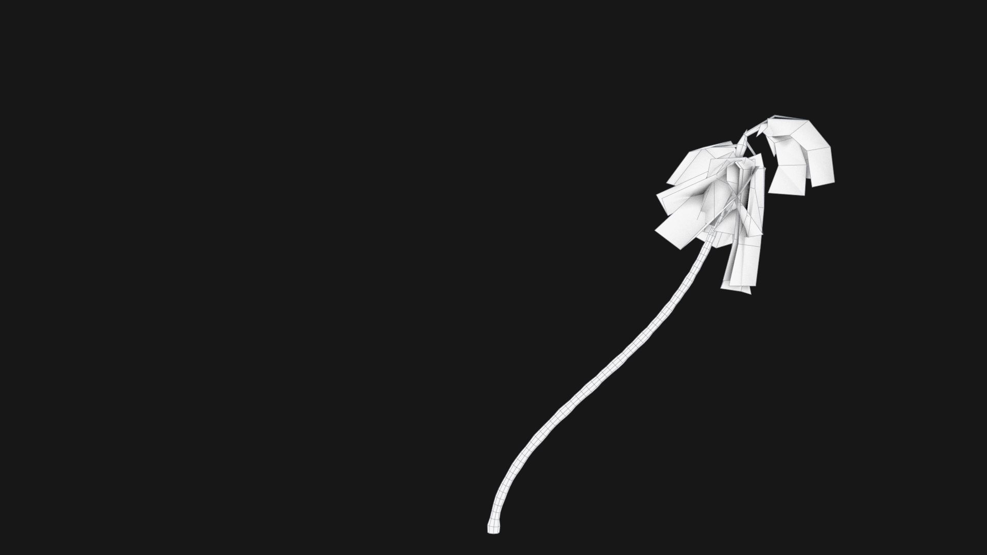 Coconut Palm Trees Asset 1 Low-poly 3D model_14