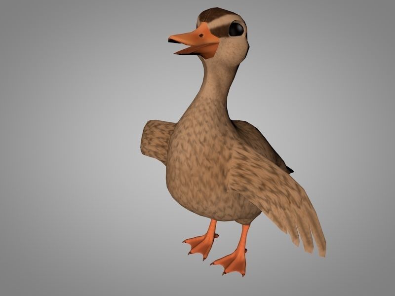 Duck or Drake Low-poly 3D model_1