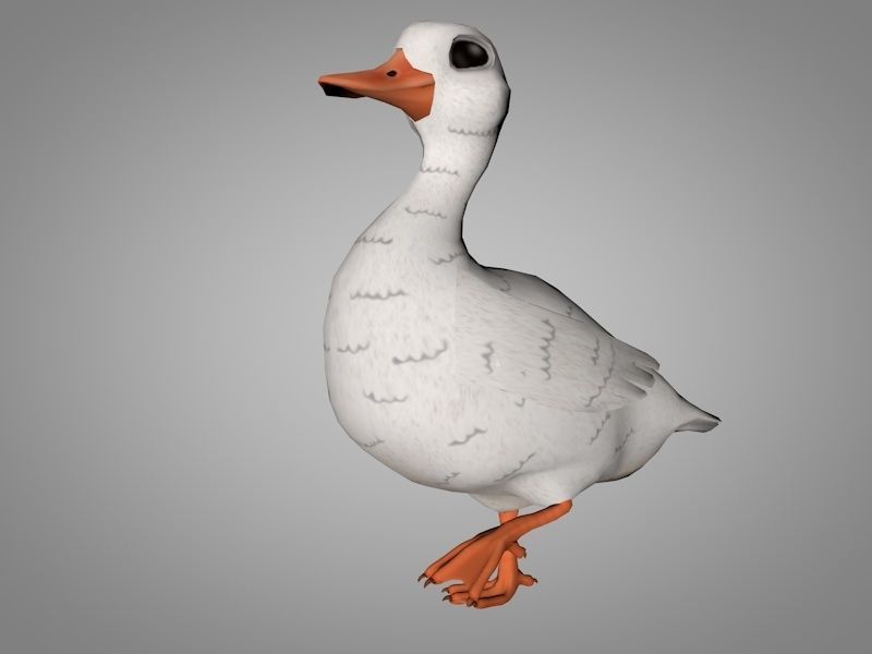 Duck or Drake Low-poly 3D model_6