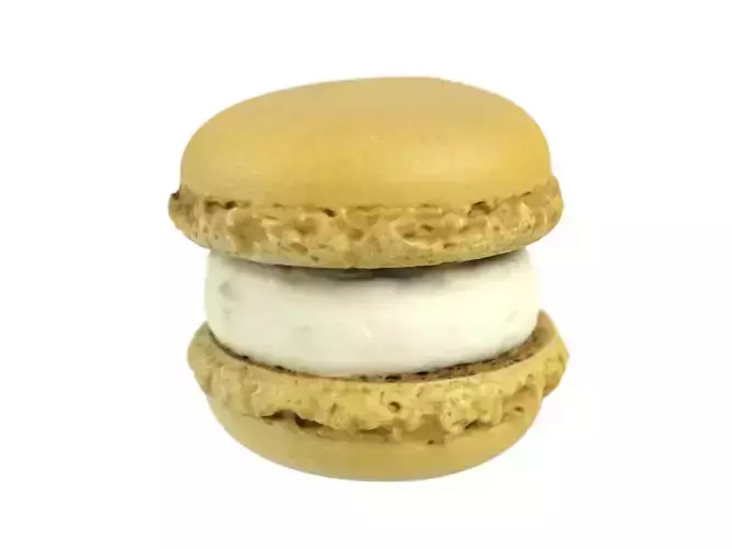 Photorealistic Macaron 3D Scan 3