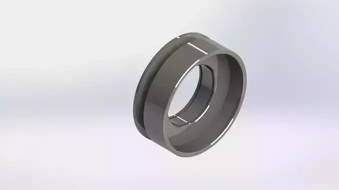 Case metal ring
