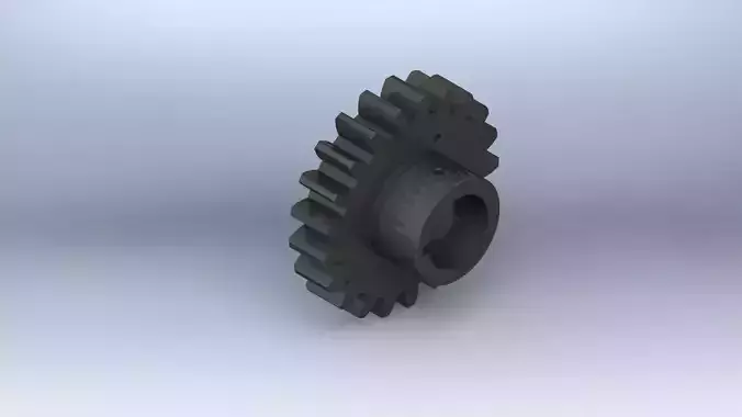 Spur gear