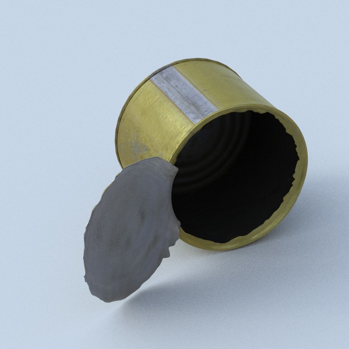 Canned Middle Poly 3D model_13