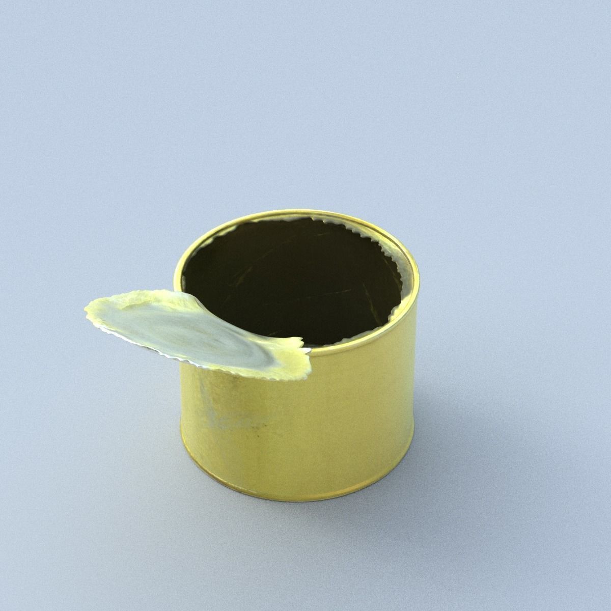 Canned Middle Poly 3D model_11