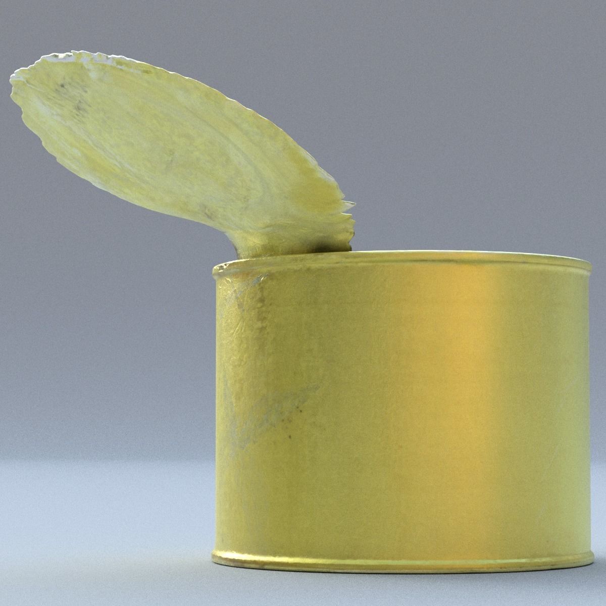 Canned Middle Poly 3D model_3