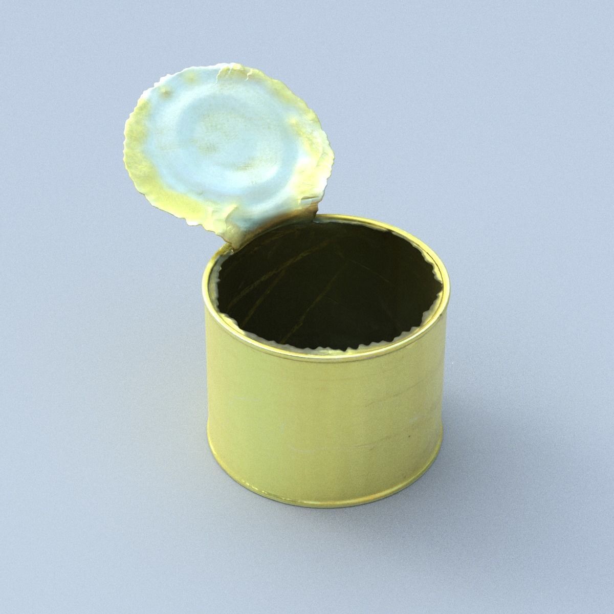 Canned Middle Poly 3D model_14