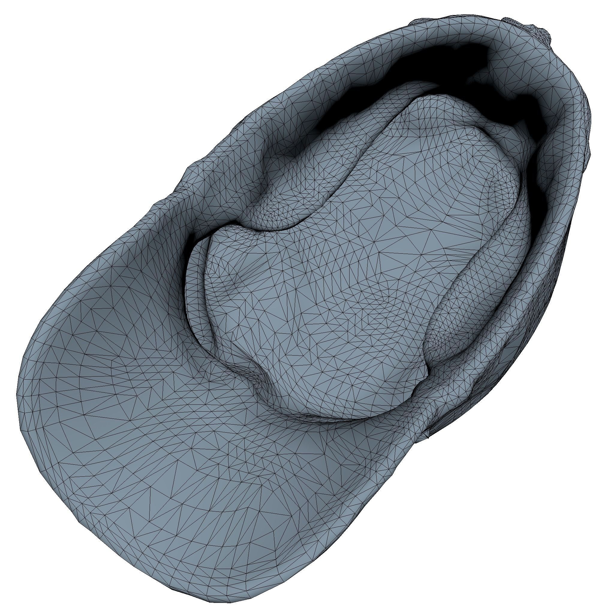 Old Cap Low Poly Low-poly 3D model_5