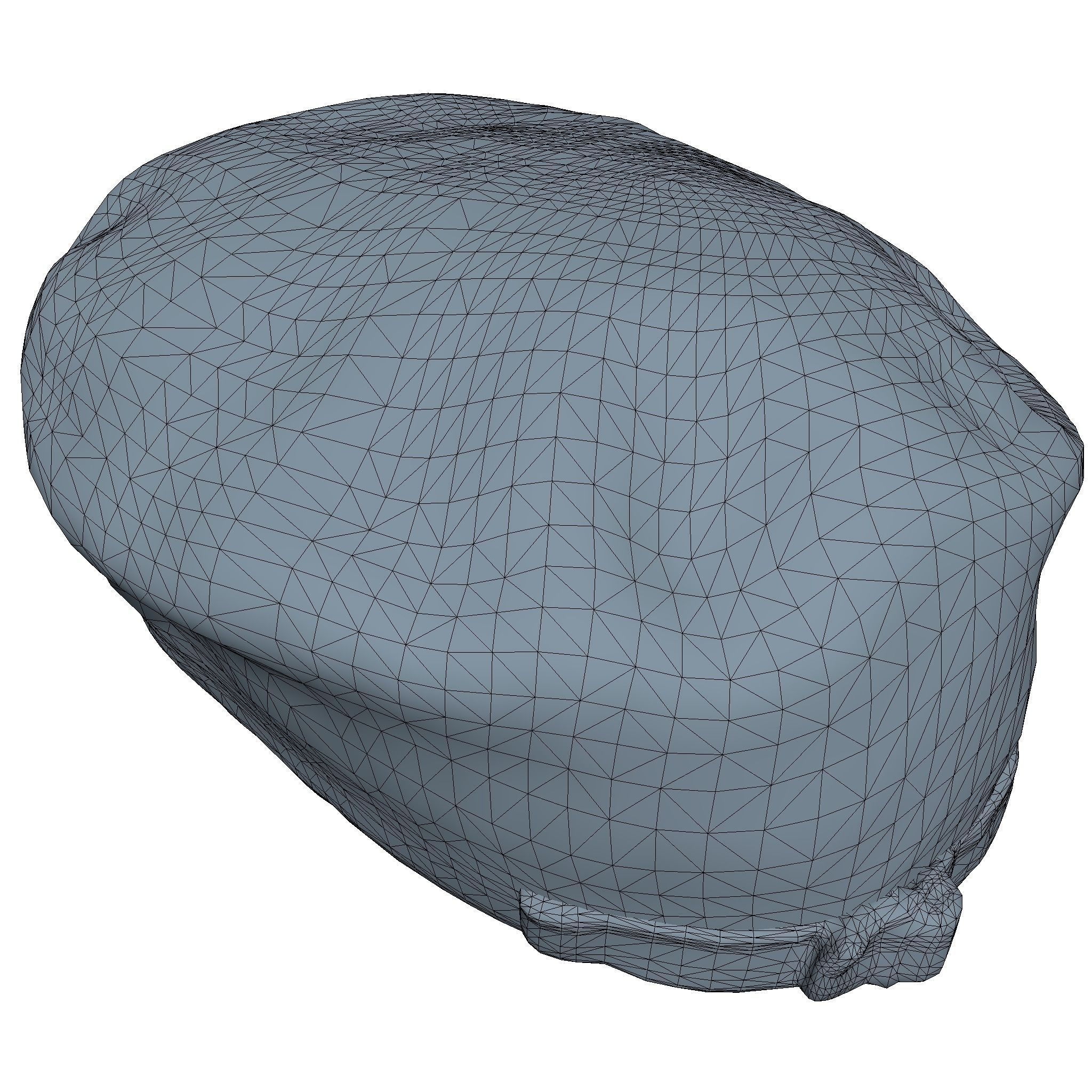 Old Cap Low Poly Low-poly 3D model_4