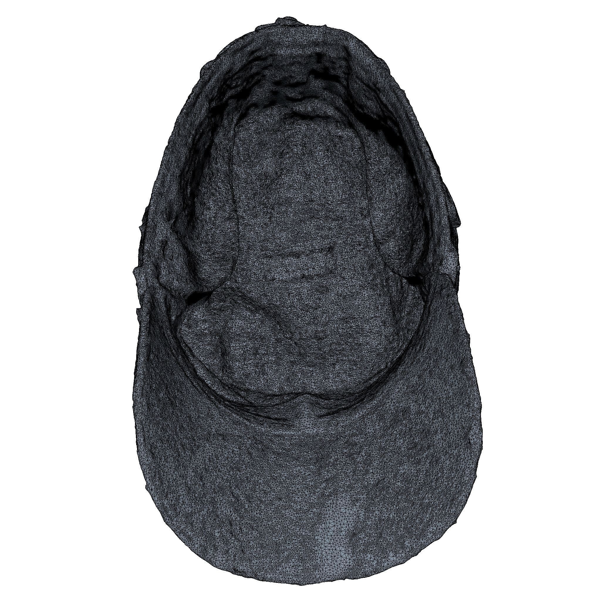 Old Cap High Poly 3D model_4