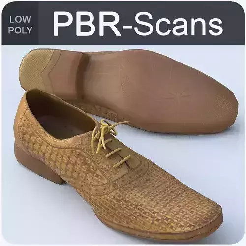 Shoe Low Poly leather with laces