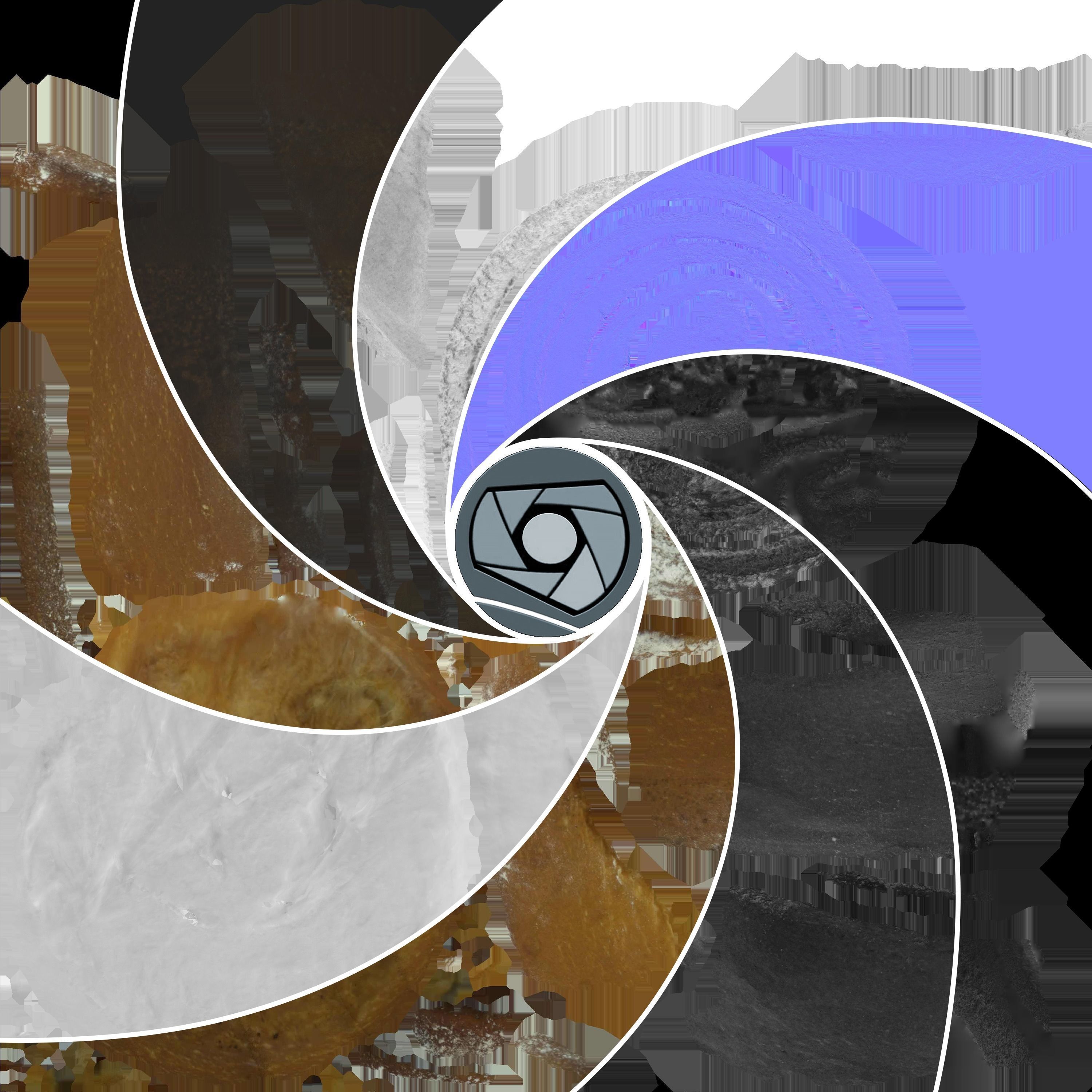 Cinnamon Roll High Poly 3D model_5