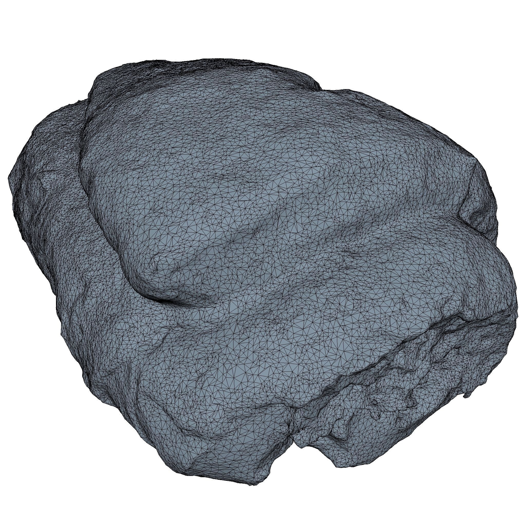 Sweet Roll High Poly 3D model_3