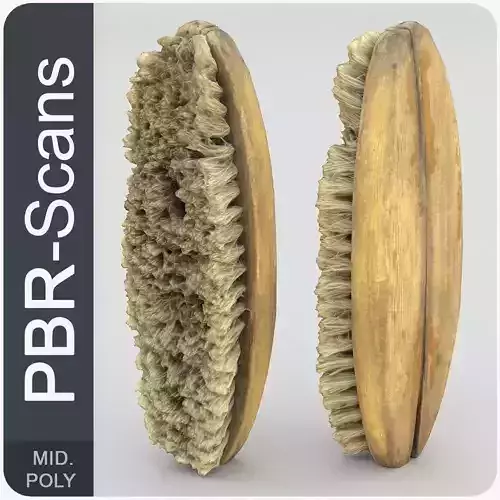 Brush Middle Poly