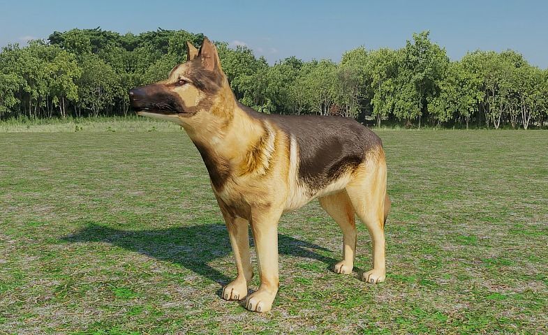 German Shepherd Low-poly 3D model_5